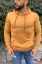 Kapüşonlu Sweatshirt HARDAL resmi