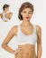 Miss Fit 1502 Yüzücü Büstiyer resmi