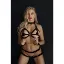 Harness 316 Deri Zincirli Fantazi Takım resmi